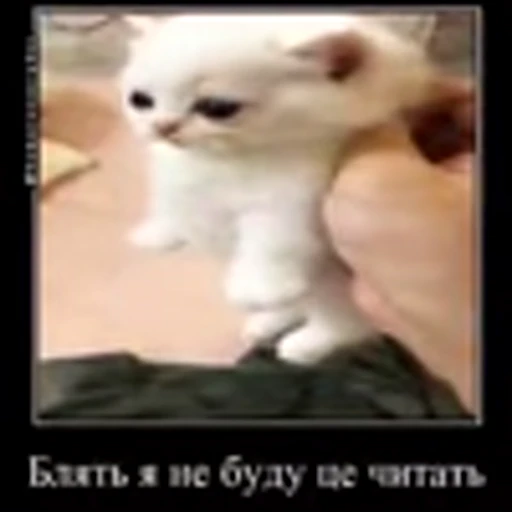😵 Эмодзи «zroz» для Telegram