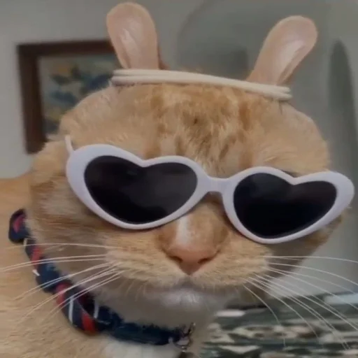 🐰 Стикер «ебаный зоопарк» для Telegram