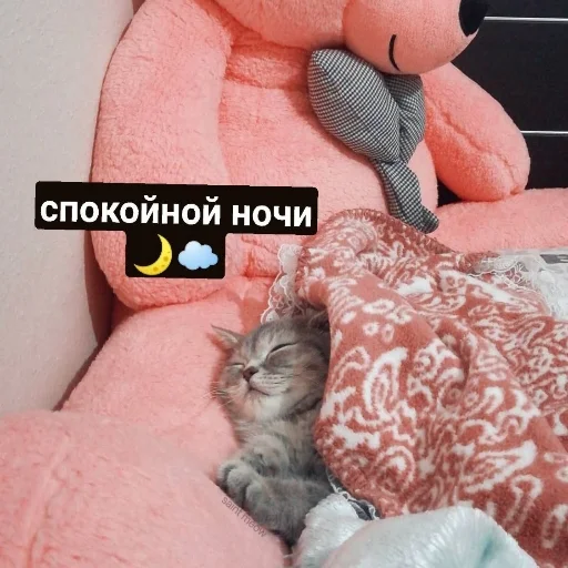 😴 Стикер «ебаный зоопарк» для Telegram