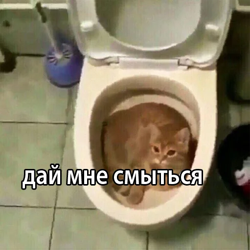 😓 Стикер «звуки тоста» для Telegram