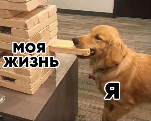 👍 Стикер «звуки тоста» для Telegram