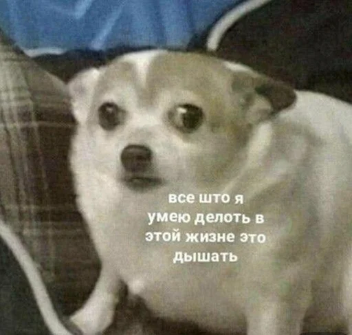 😰 Стикер «звуки тоста» для Telegram