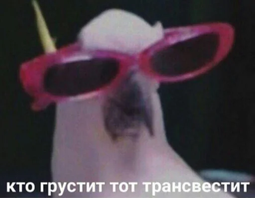 😉 Стикер «звуки тоста» для Telegram