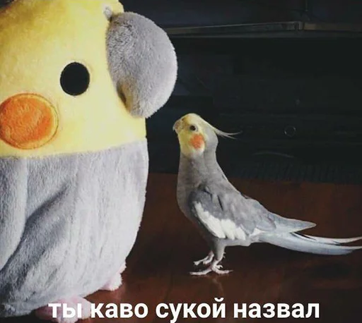 💥 Стикер «звуки тоста» для Telegram