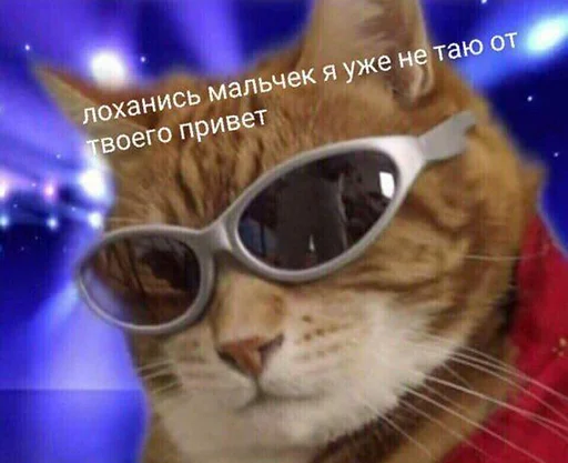 😎 Стикер «звуки тоста» для Telegram