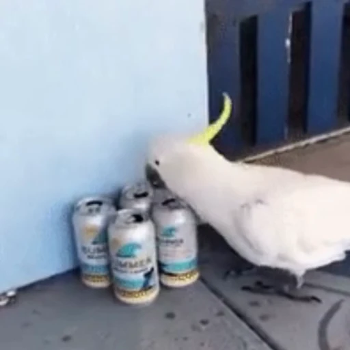 🍺 Стикер «звуки тоста ed.2» для Telegram