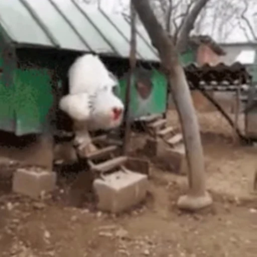 🐓 Стикер «звуки тоста ed.2» для Telegram