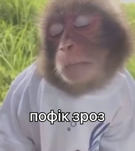 😒 Стикер «зроз 1» для Telegram
