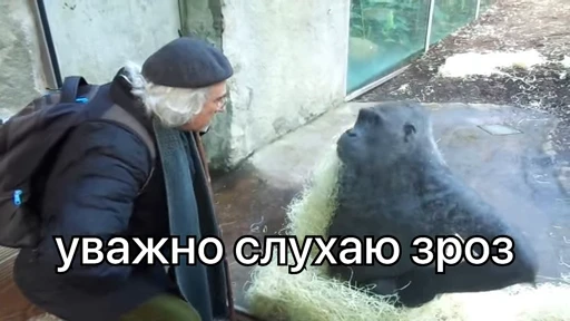 🙉 Стикер «зроз 1» для Telegram
