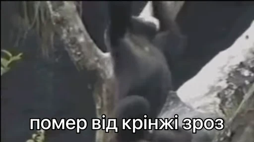 😵 Стикер «зроз 1» для Telegram