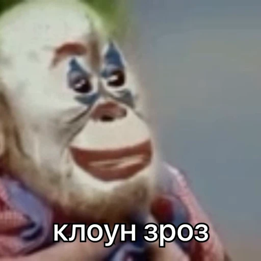 🤡 Стикер «зроз 1» для Telegram
