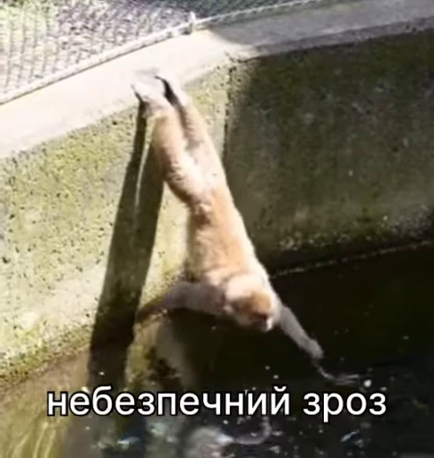 ⚠️ Стикер «зроз 1» для Telegram