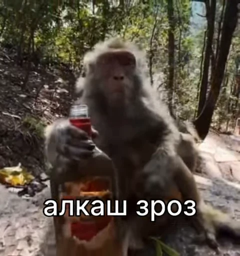 🍺 Стикер «зроз 1» для Telegram