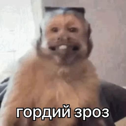 😇 Стикер «зроз 1» для Telegram