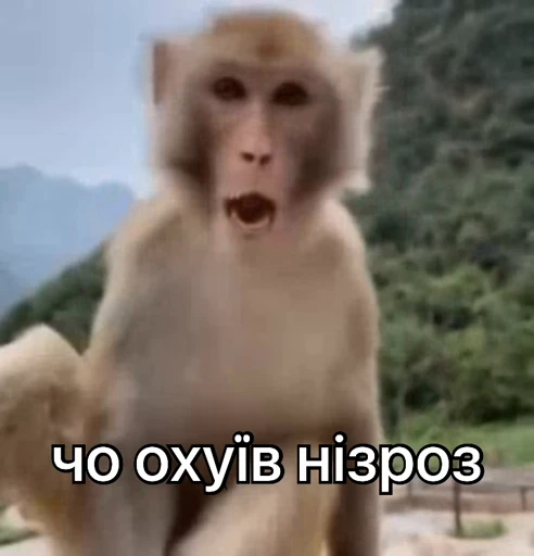 😤 Стикер «зроз 1» для Telegram