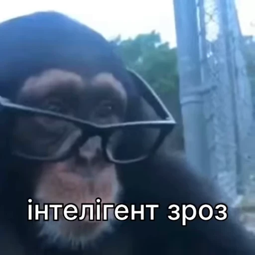 🤓 Стикер «зроз 1» для Telegram