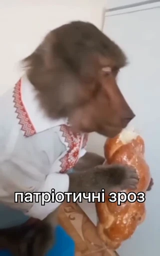 🇺🇦 Стикер «зроз 1» для Telegram