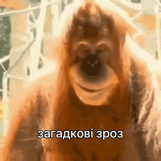 🤔 Стикер «зроз 1» для Telegram