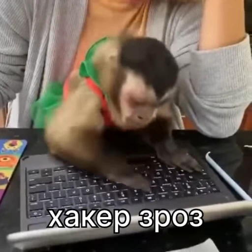 💻 Стикер «зроз 1» для Telegram