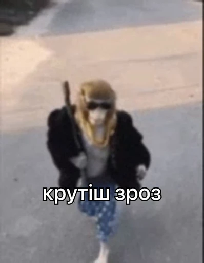 😎 Стикер «зроз 1» для Telegram