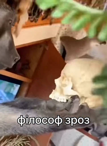 💀 Стикер «зроз 1» для Telegram