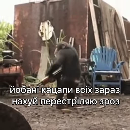 👿 Стикер «зроз 1» для Telegram