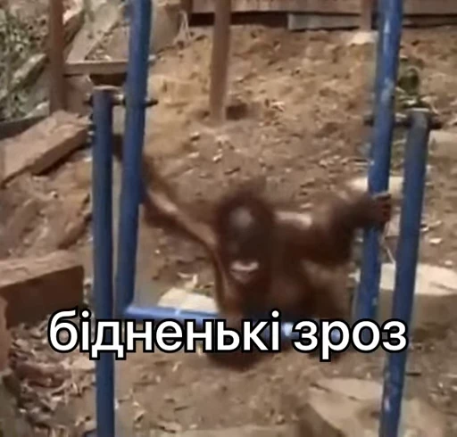 😥 Стикер «зроз 1» для Telegram