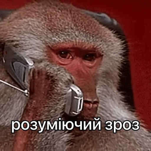 🙂 Стикер «зроз 1» для Telegram