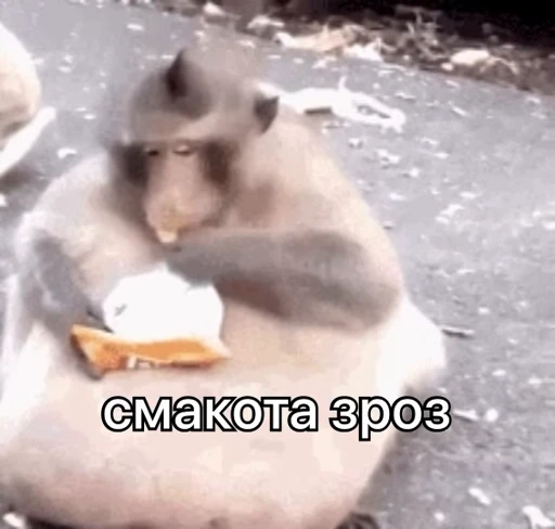 🍟 Стикер «зроз 1» для Telegram