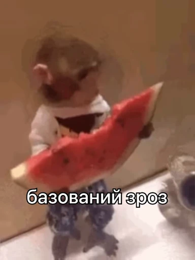 🍉 Стикер «зроз 1» для Telegram