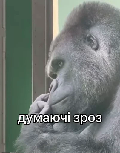 🤔 Стикер «зроз 1» для Telegram