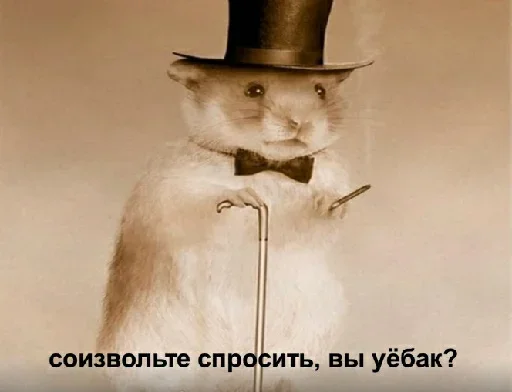 🎩 Стикер «zzz2» для Telegram