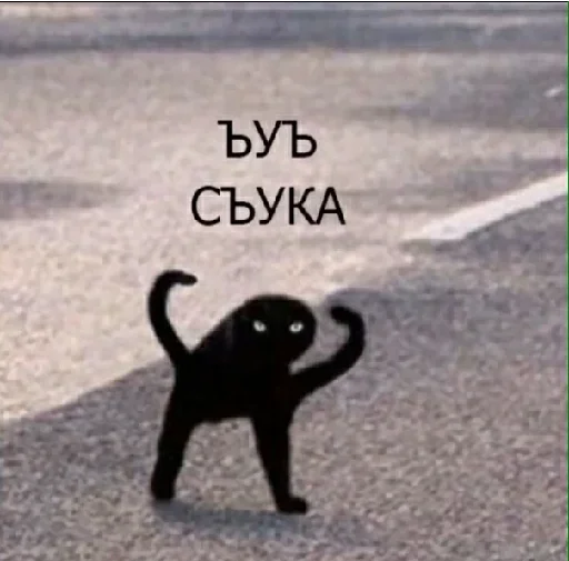 😶 Стикер «zzz2» для Telegram